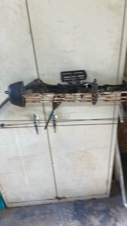 Compound Bow w/3 arrows