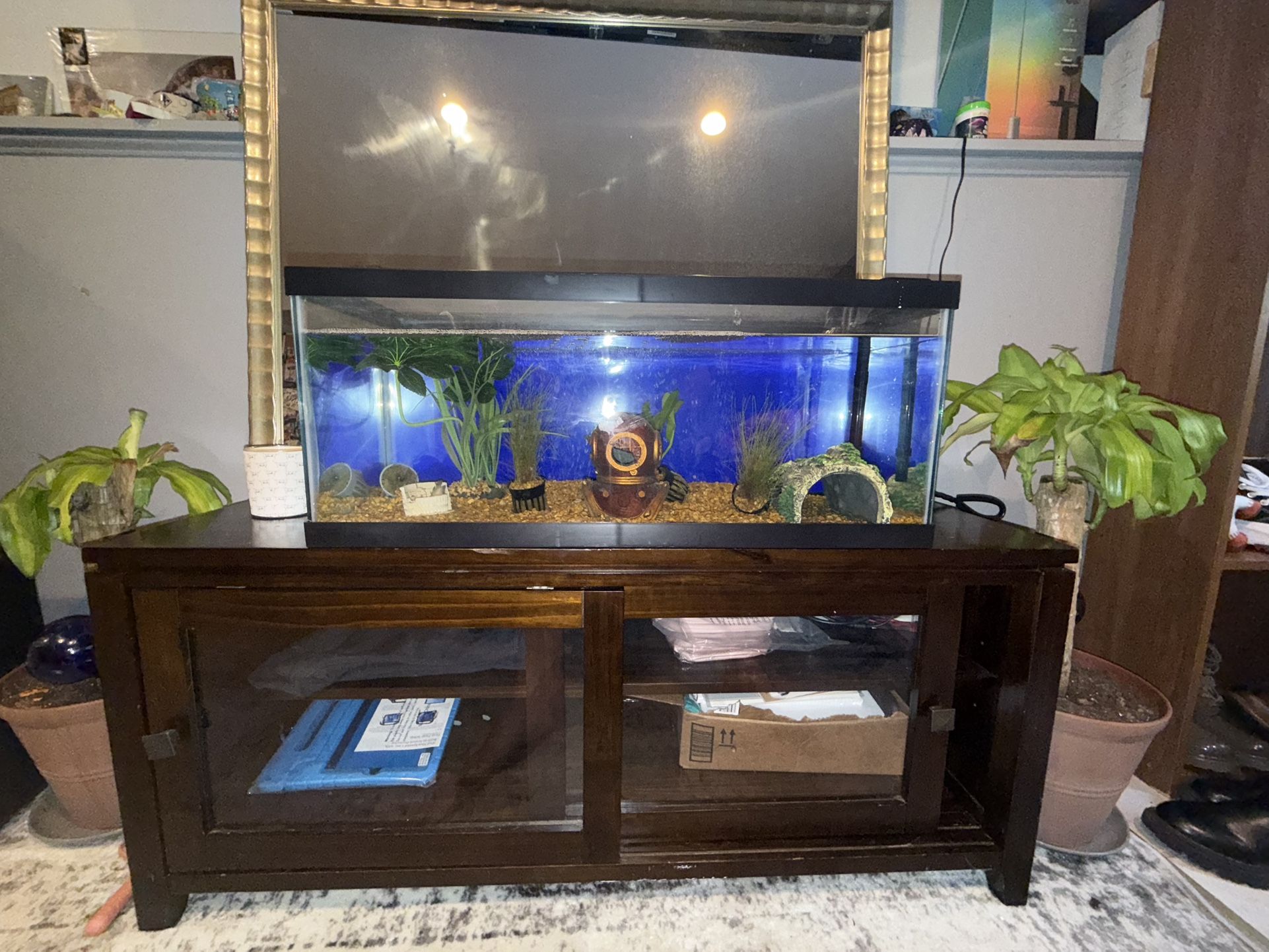 25 gallon Fish Tank W/ Everything