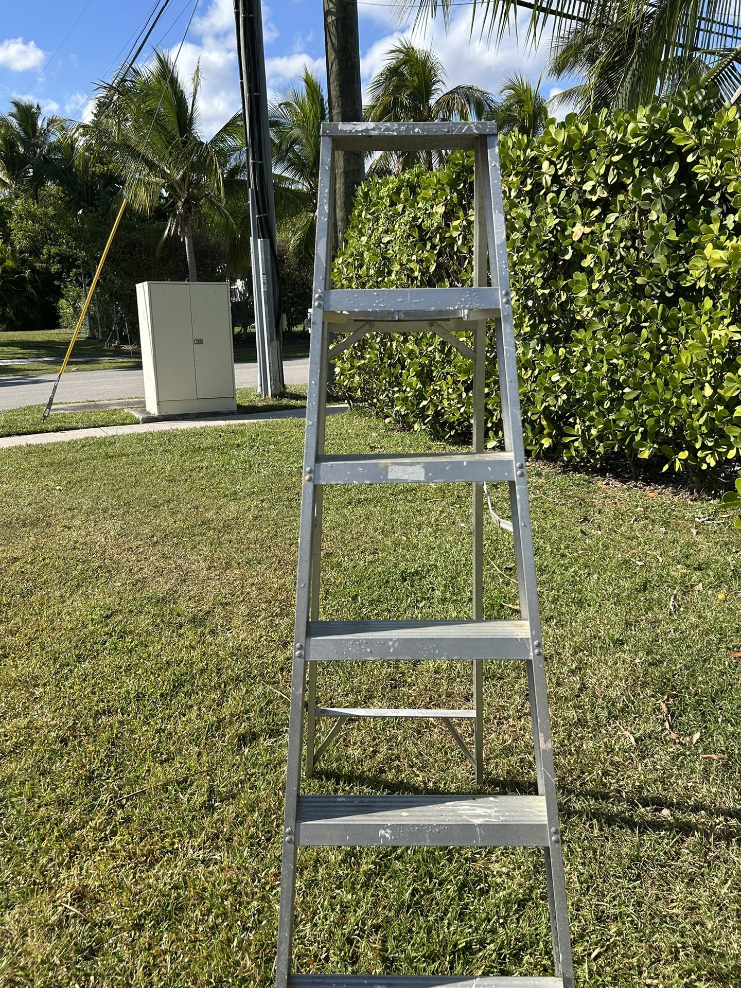 6 Foot Ladder