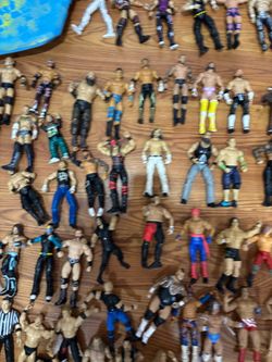 Wwe action figure