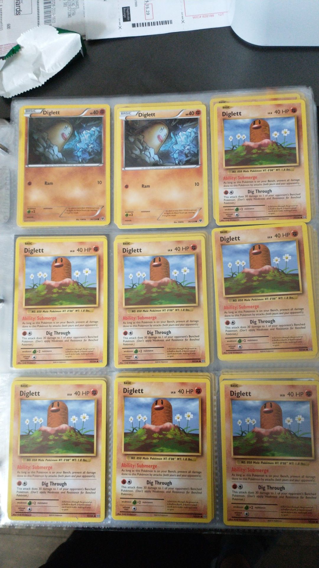 Ground Pokemon
