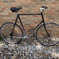 Raleigh Technium Road Bike Upright 62cm (XL Frame)