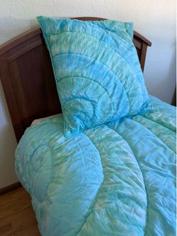 Pottery Barn Teen twin comforter with standard sham & 2 euro shams