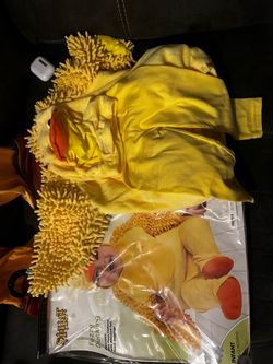 Halloween Chicken Costume