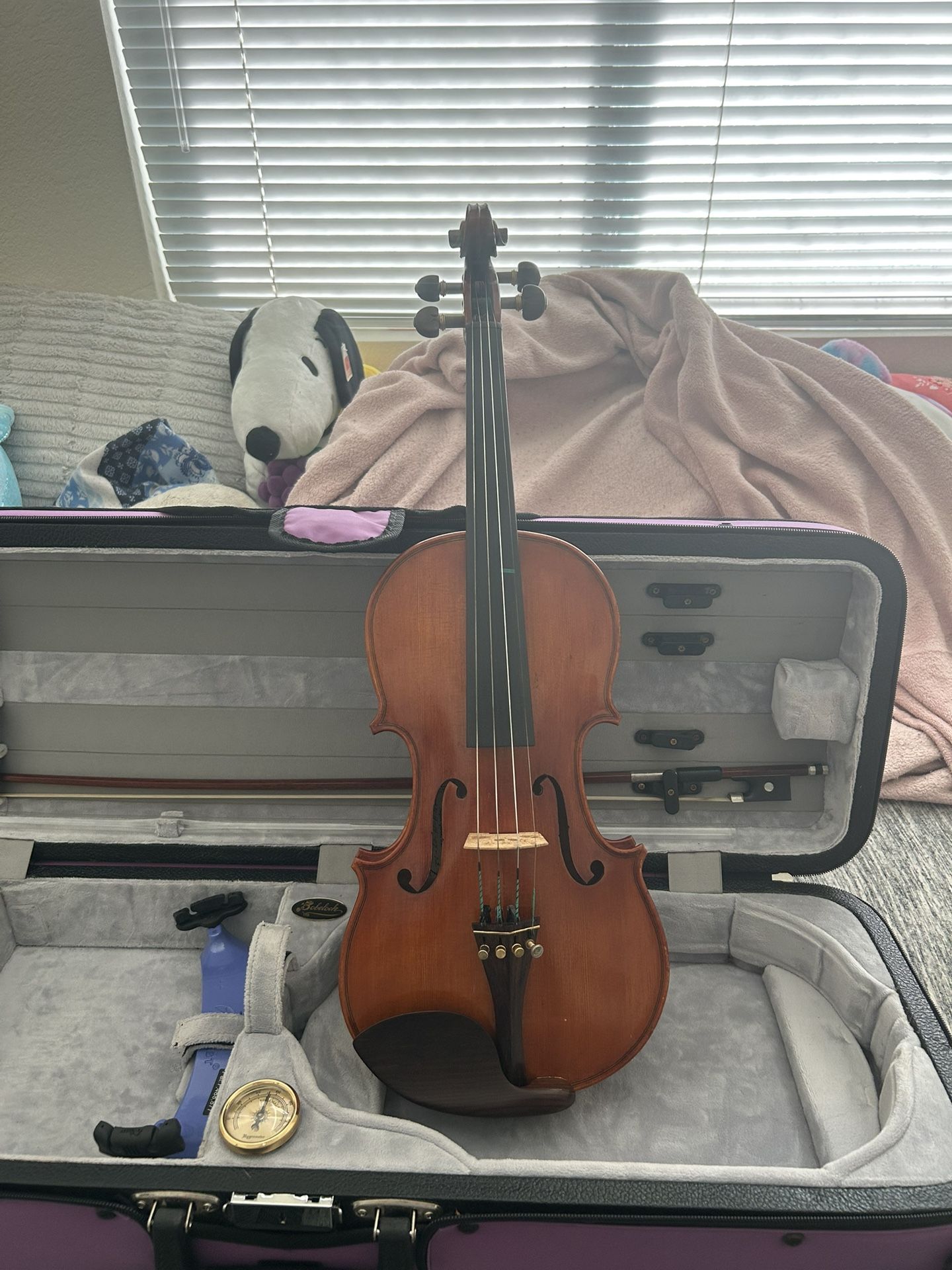 Violin 4/4 Size