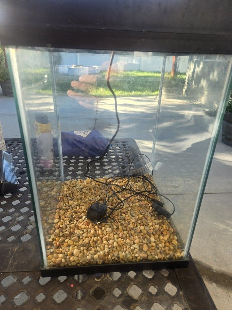 10 Gallon Fish Tank