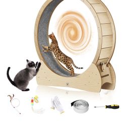 Cat Exercise Wheel For Indoor Cats 