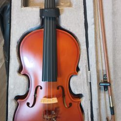 Violin Student Beautiful Reddish Brown 