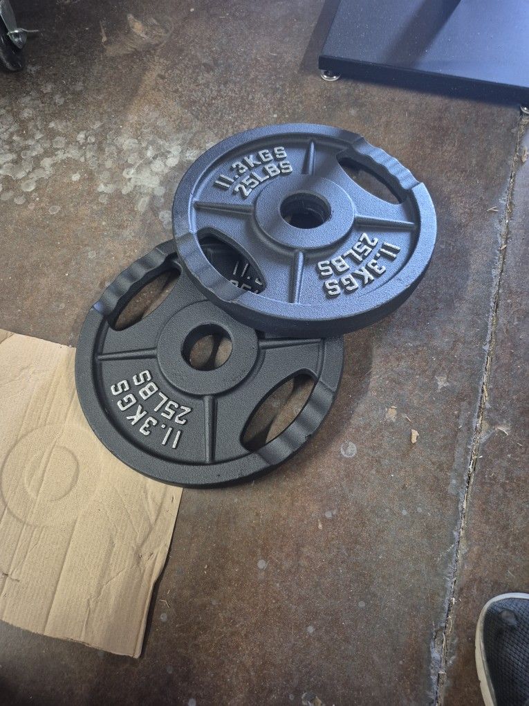 Set of two 25-pound weight plates. I have several sets.