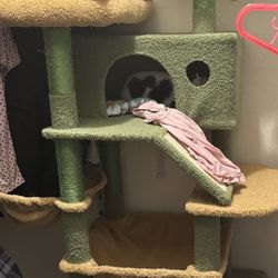 Cat Tower