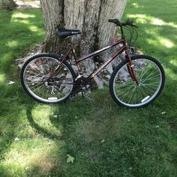 26” Mountain Bike 