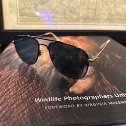 GUCCI Aviators Sunglasses