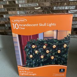 BRAND NEW SKULL LIGHTS BLACK WIRE 