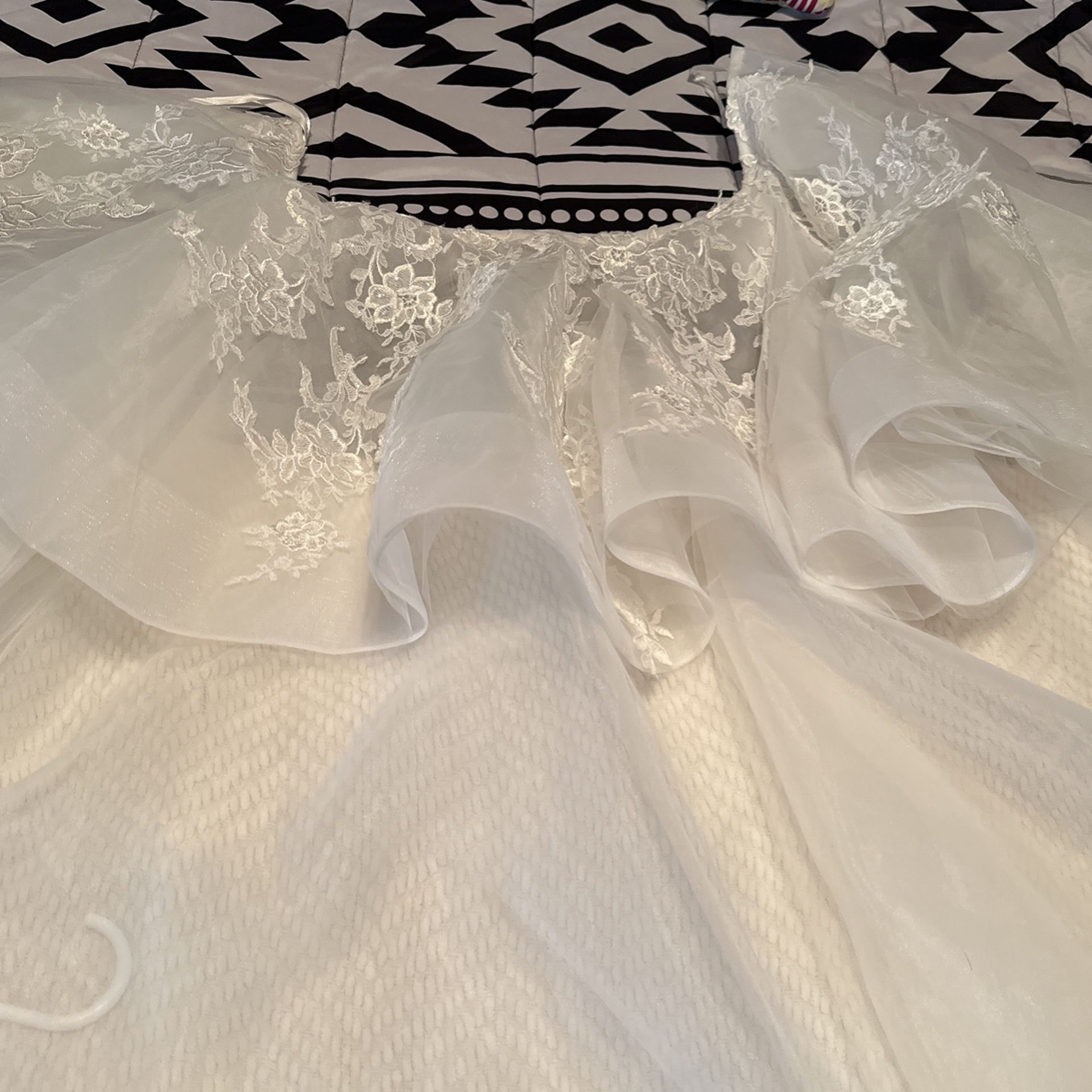 Wedding Dress Train