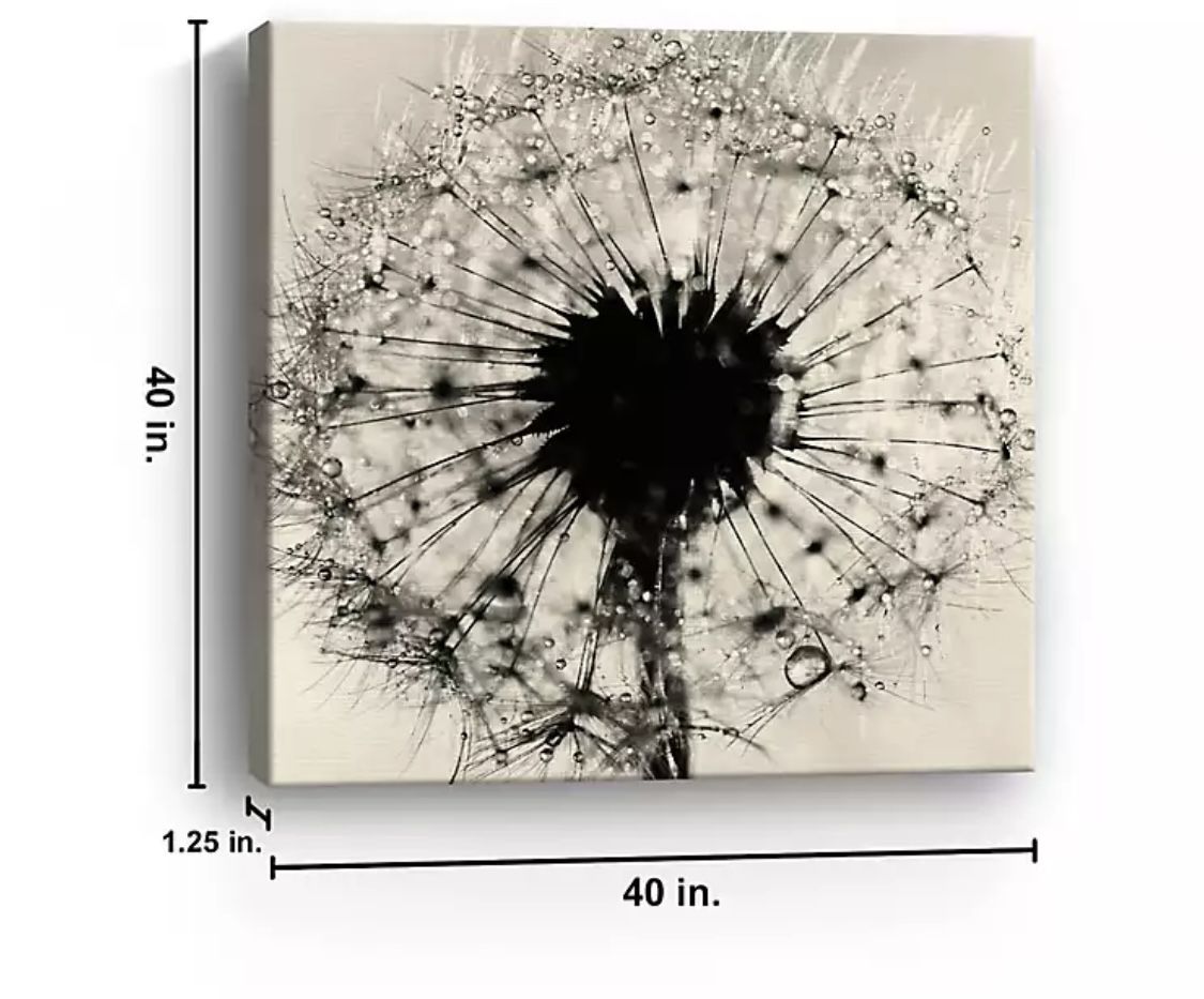 Black and White Dandelion Giclee Canvas Art, Like-New!
