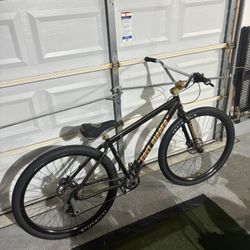 (SE) Gold And Brown    Fast Ripper 