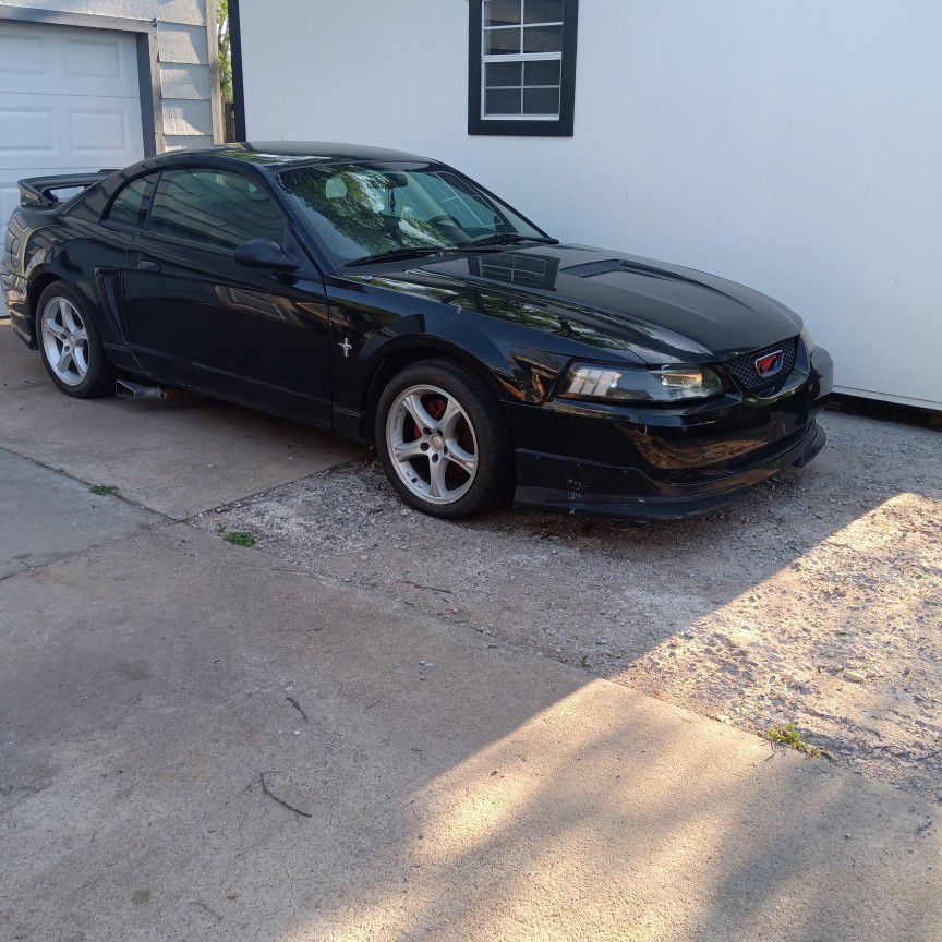 01. Mustang. Roush Package