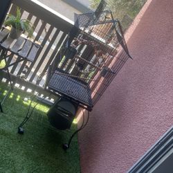 Bird cage / Jaula Para Aves 
