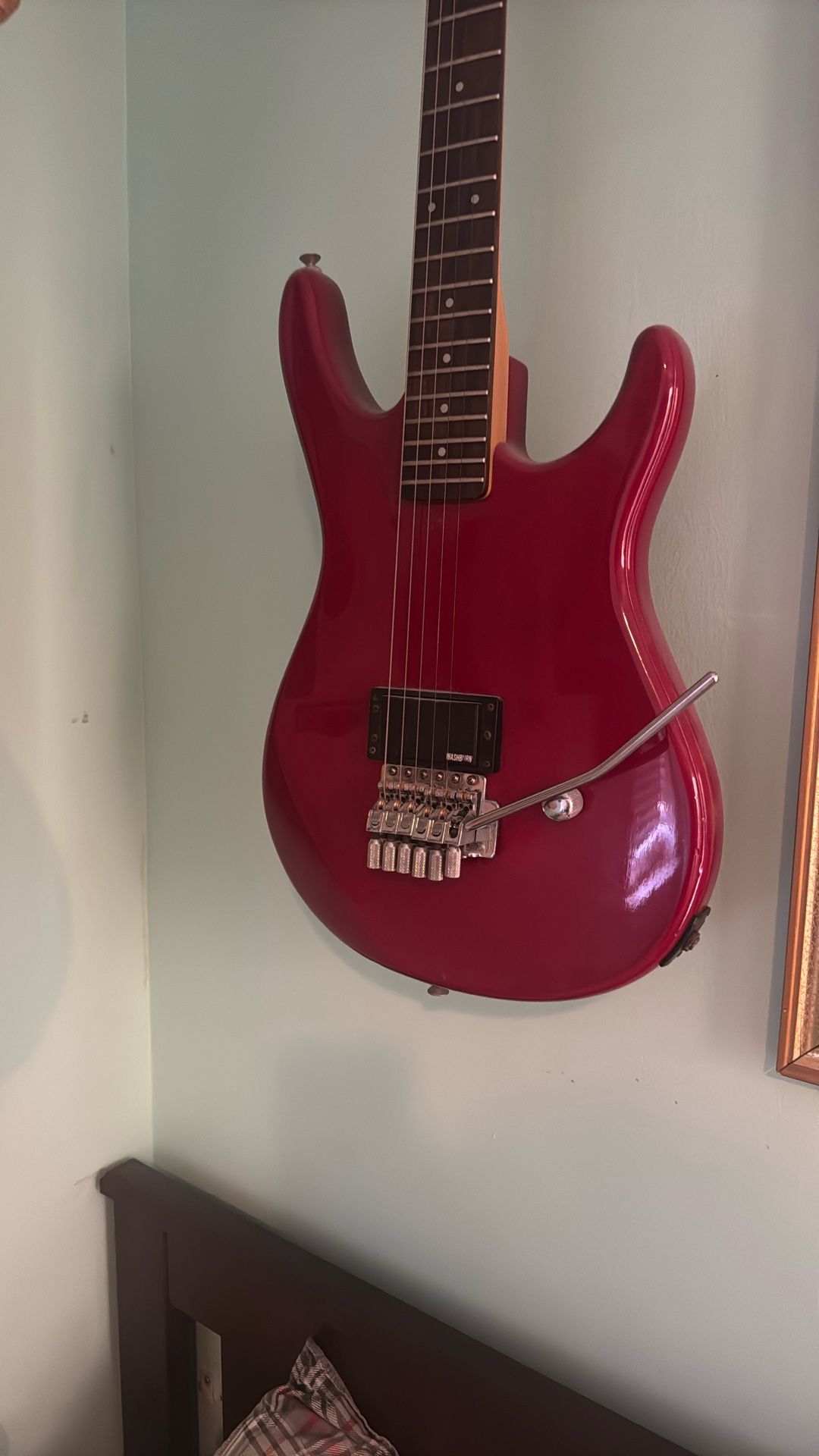 Washburn Guitar