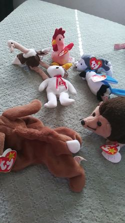 The Beanie babies collectibles