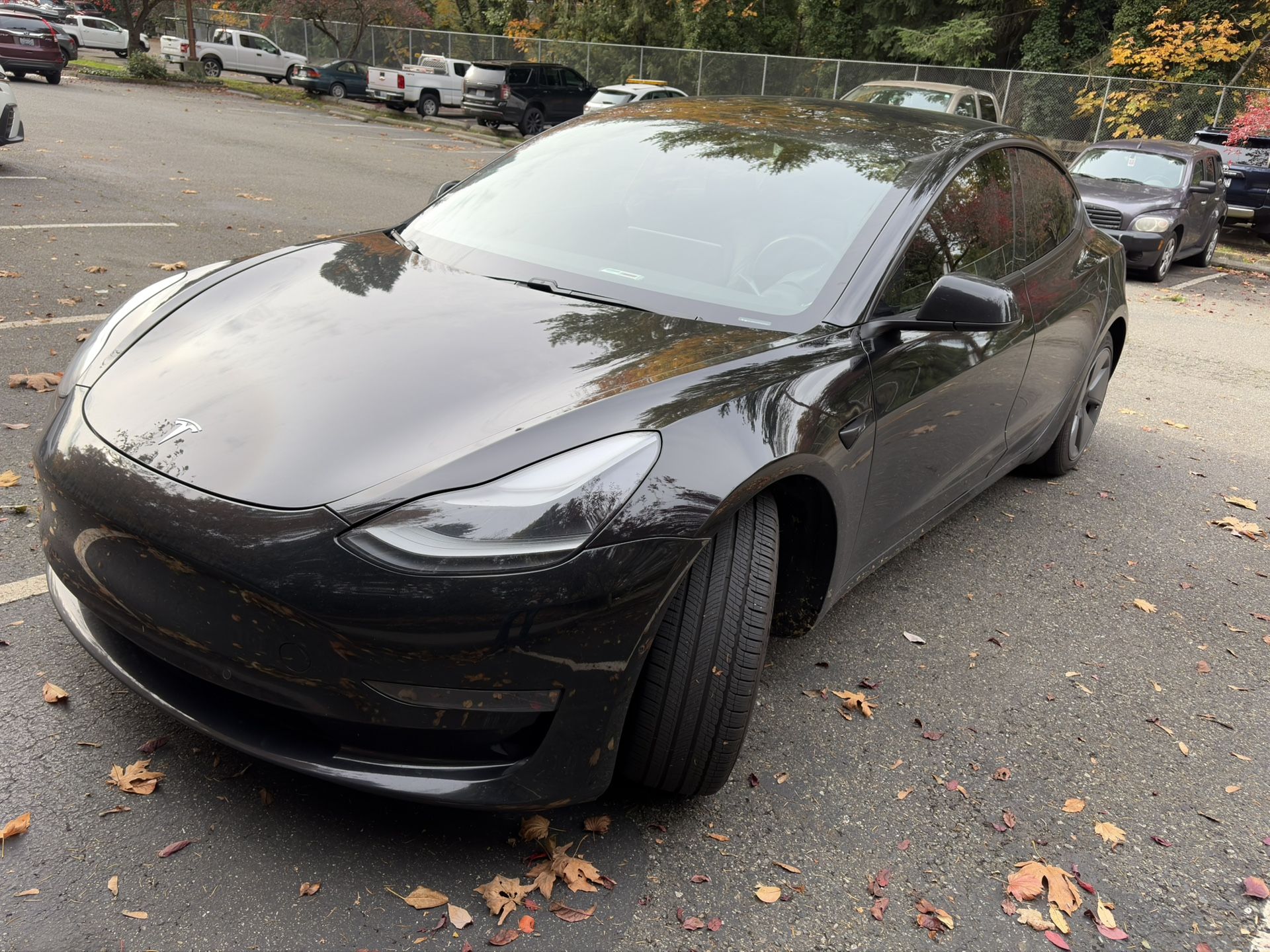 2021 Tesla Model 3 Stand Plua