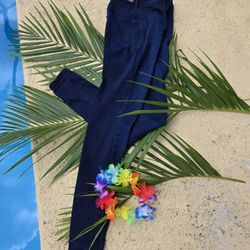 American Eagle Outfitters Navy Blue Jeans