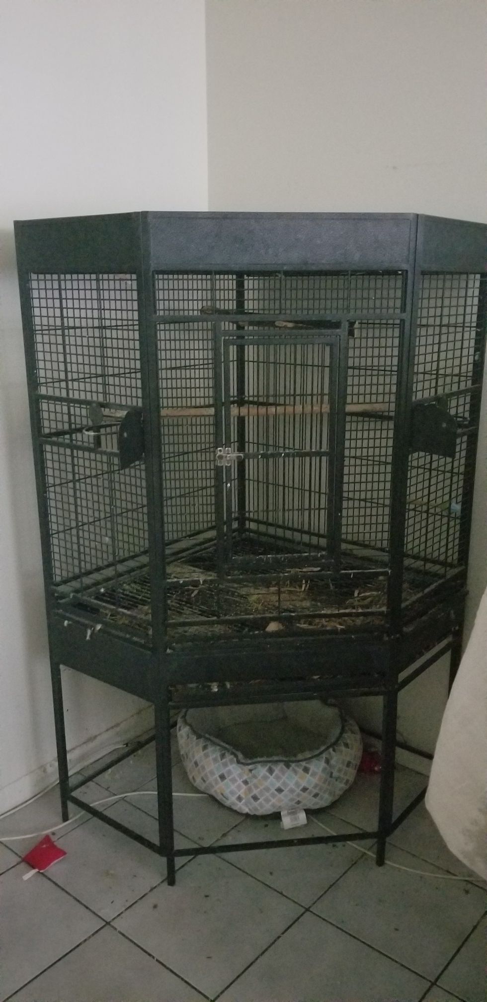 Corner bird cage