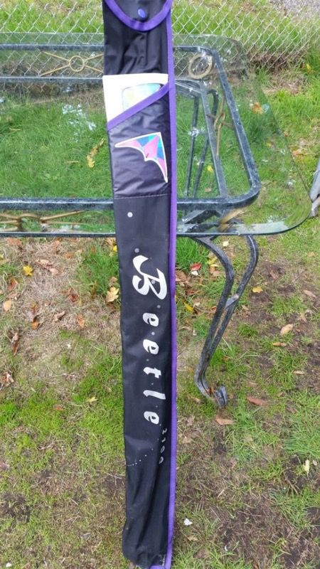 Beetle 2100 stunt kite