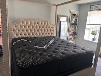 New Mattresses Never Used