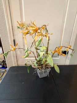 Yellow artificial orchid plant with heavy base
