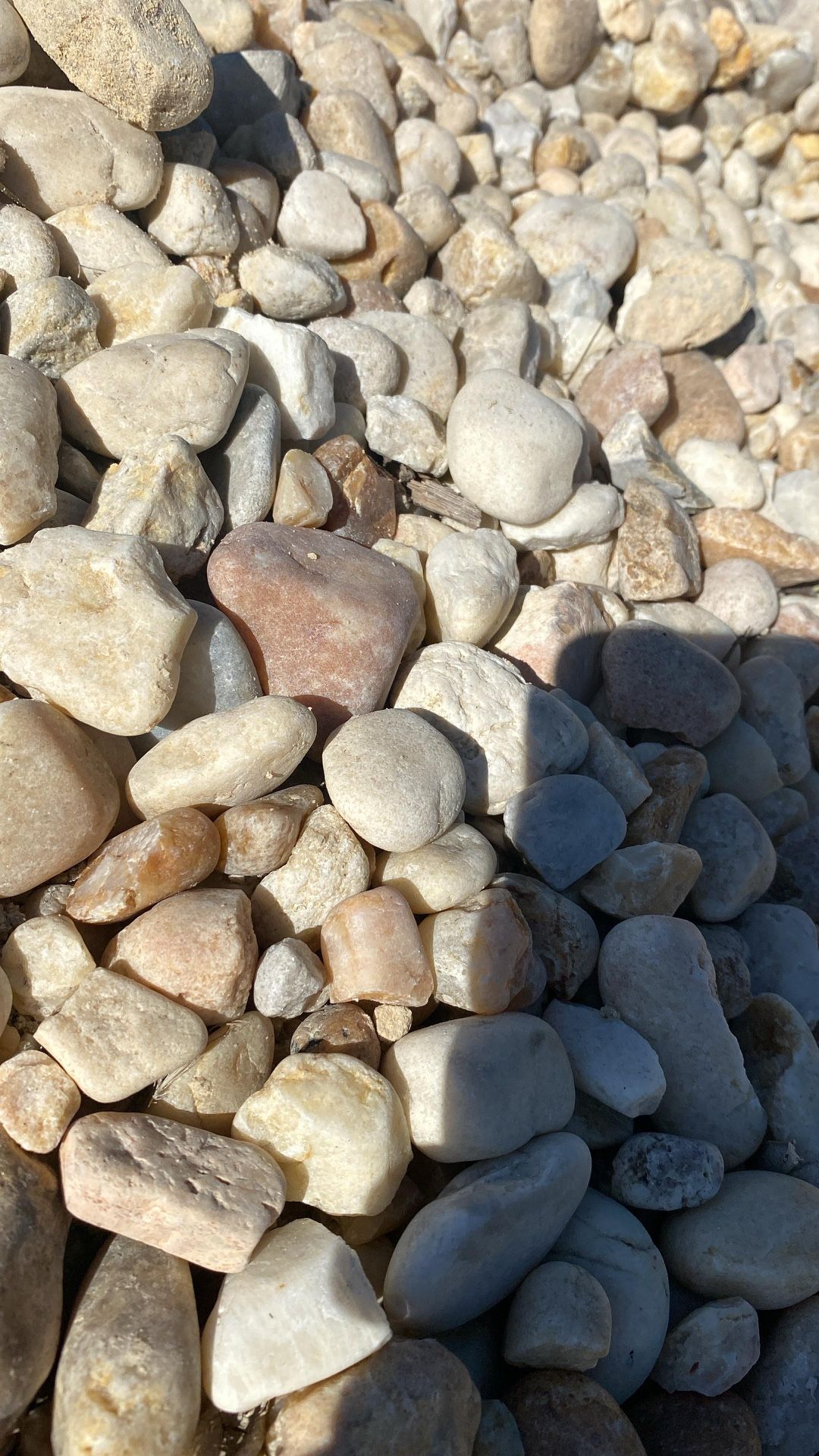 Regular (1β To 2β) White River Rock - Yard