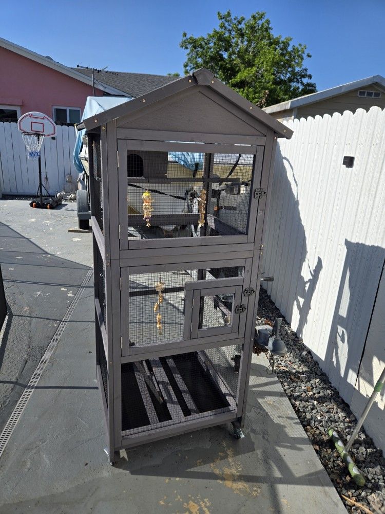 Bird Cage