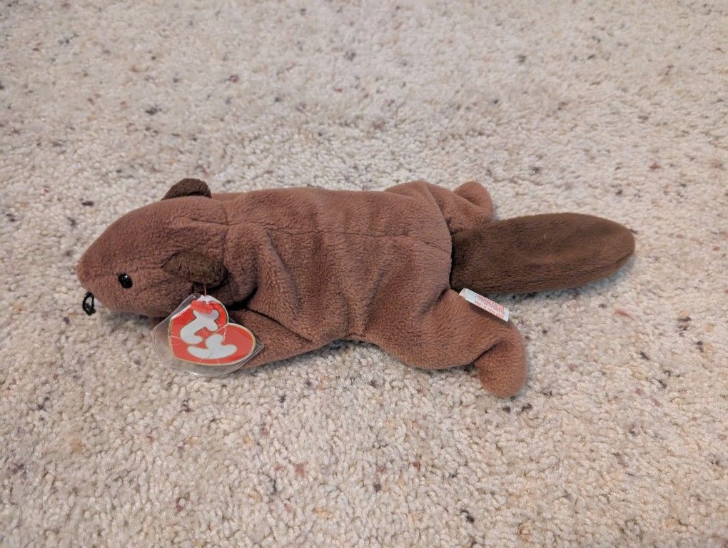 Ty Beanie Babies - Bucky