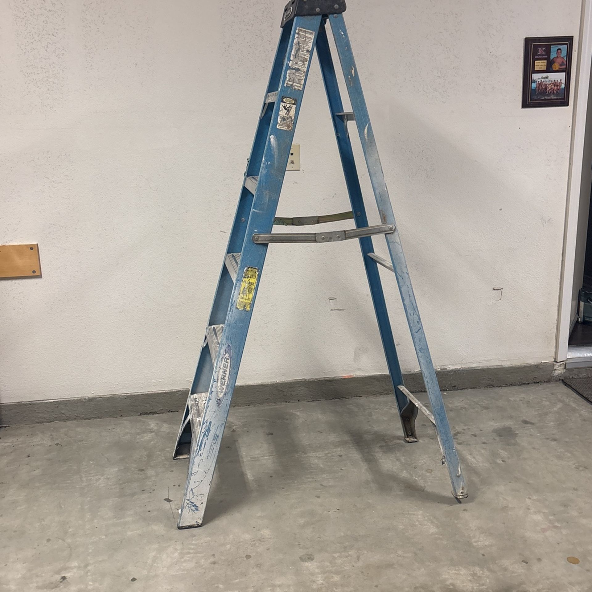 6’ Werner Ladder