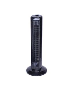 2 Tower Fans Standing