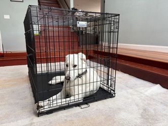 Midwest Contour Large Double Door Dog Crate