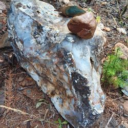 Agate