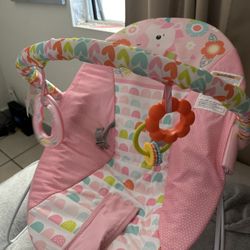 Baby Bouncer