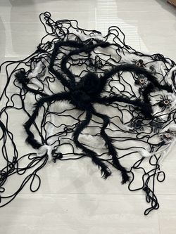 Large spider and spider web decorations