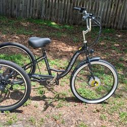 3 Wheel Electric Bike