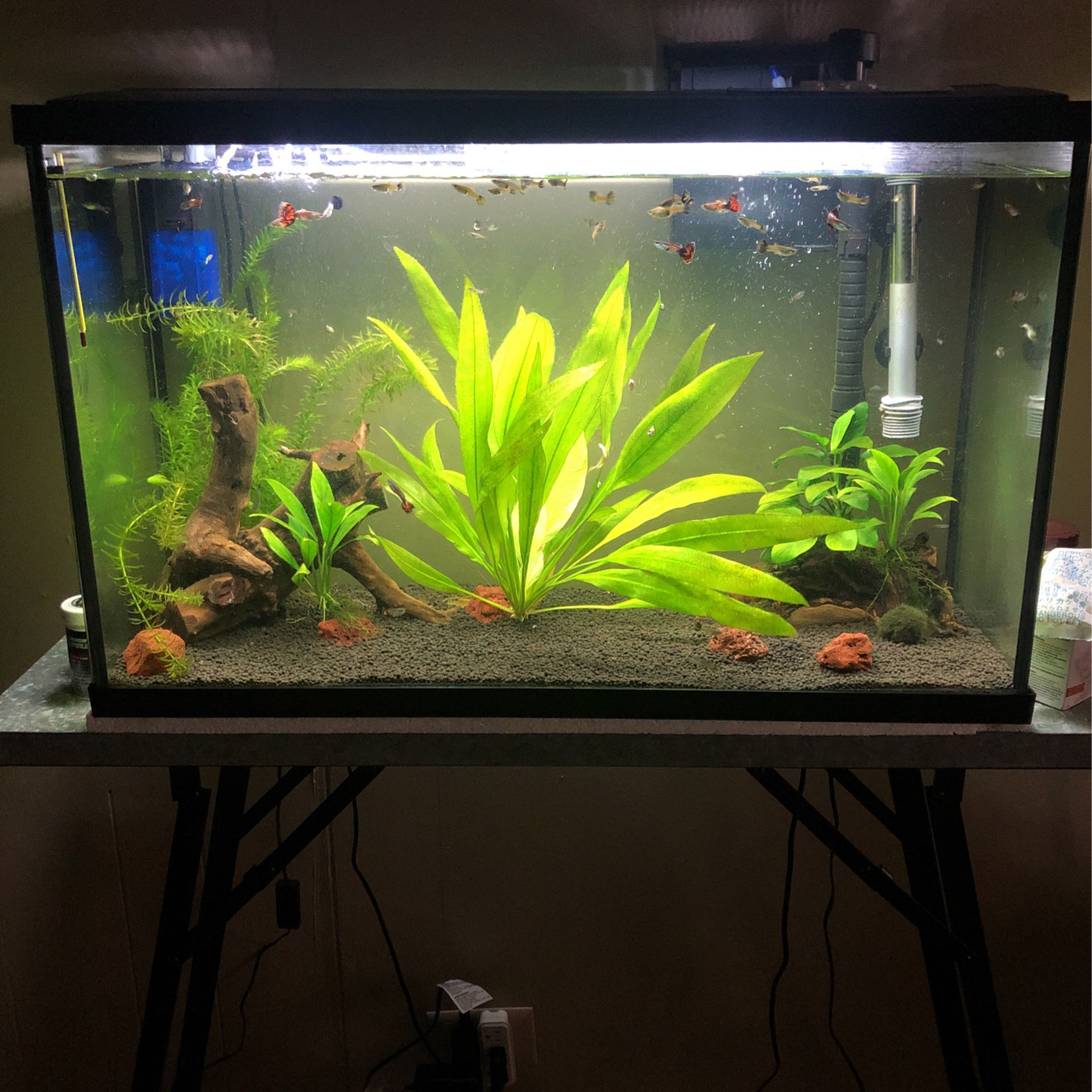 Fish Tank With The Table