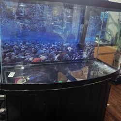 Bowfront fish tank Aquarium 46 gallon with stand