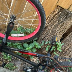 Bike Frame
