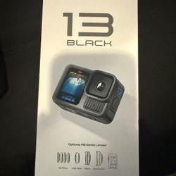 GoPro Hero 13 Black 