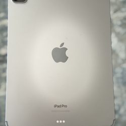 iPad Pro 11in (4th Gen) 