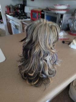Multi Colored Wig. Paid $80 For It. Asking $50