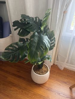 Fake Plant