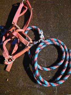 Horse Halter And Rope