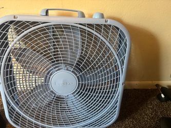 Blue Box fan