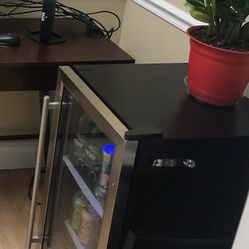 Small Beverage Fridge
